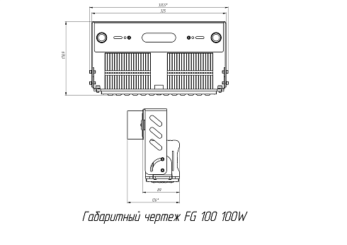 FG 100 100W PI60x150 фото alux.kz